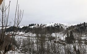 Гуцульська Хата
